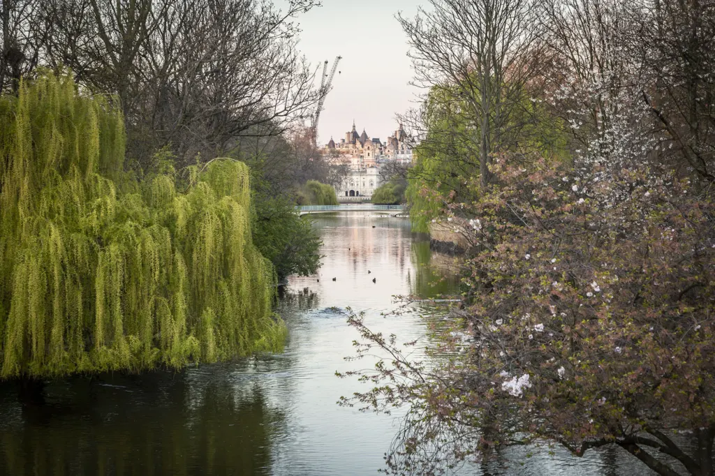 London Lockdown 2020 — documentary and landscape photograph in London, UK, frame 15 of 44.